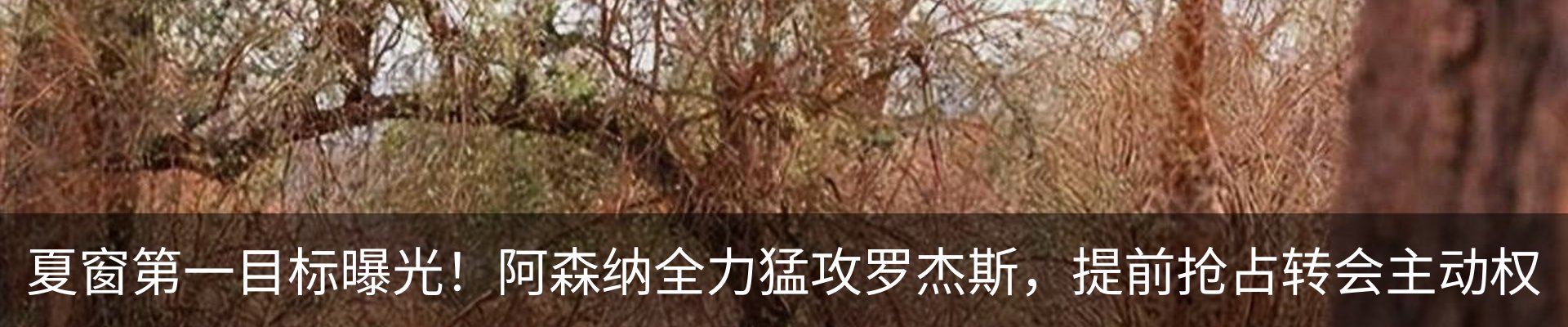 热点资讯